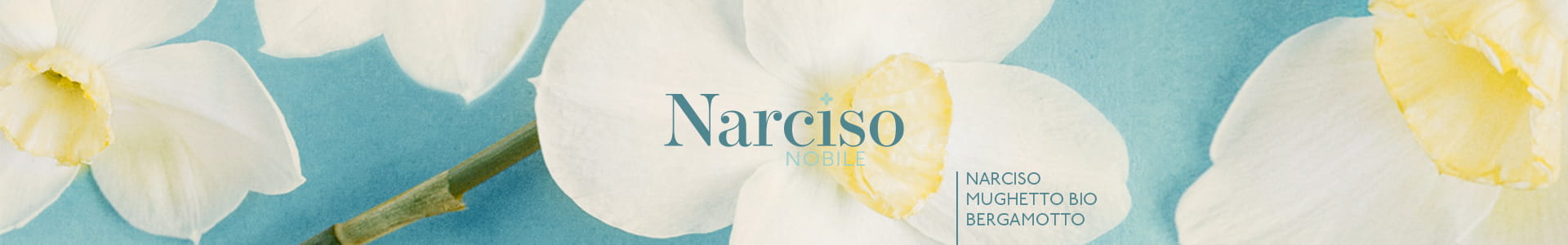 Narciso-Nobile